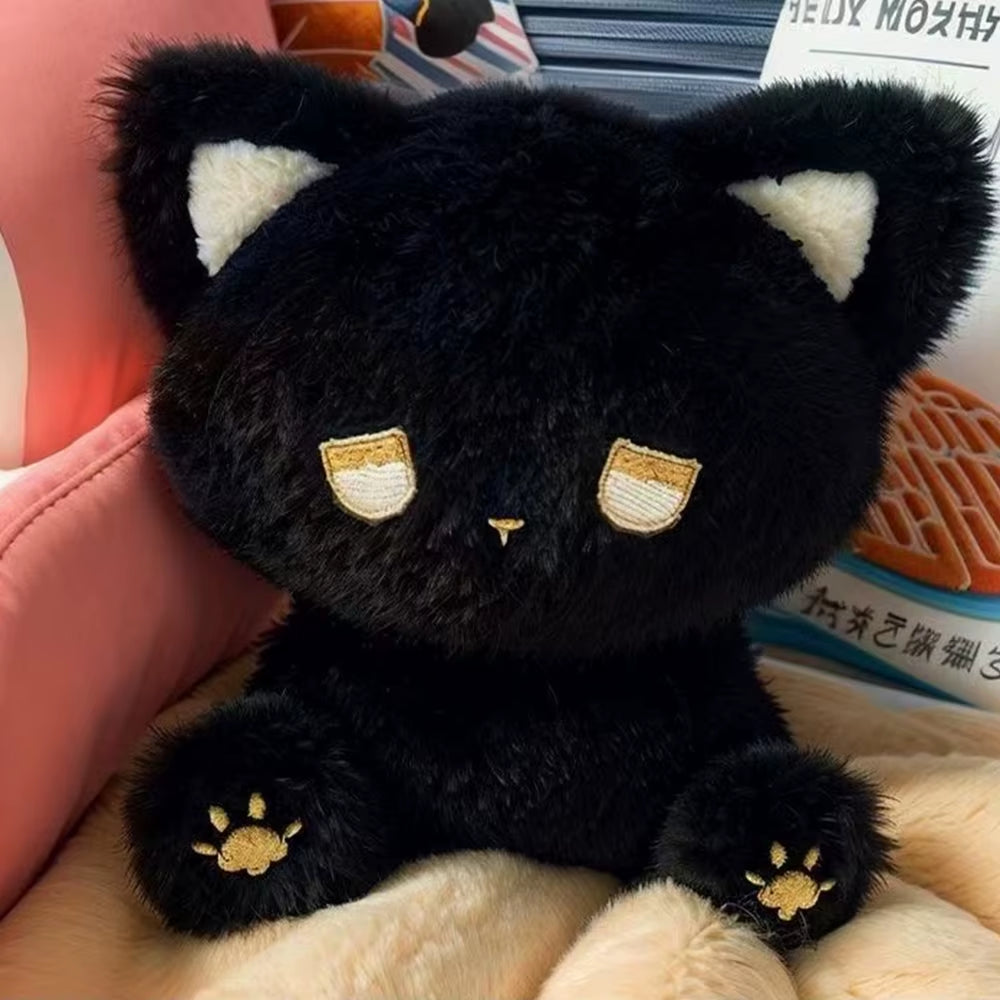 Pomp the Black Cat