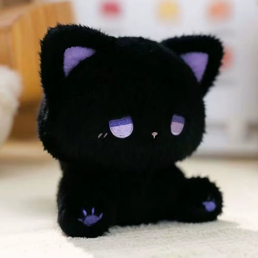 Pomp the Black Cat