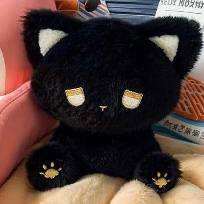 Pomp the Black Cat