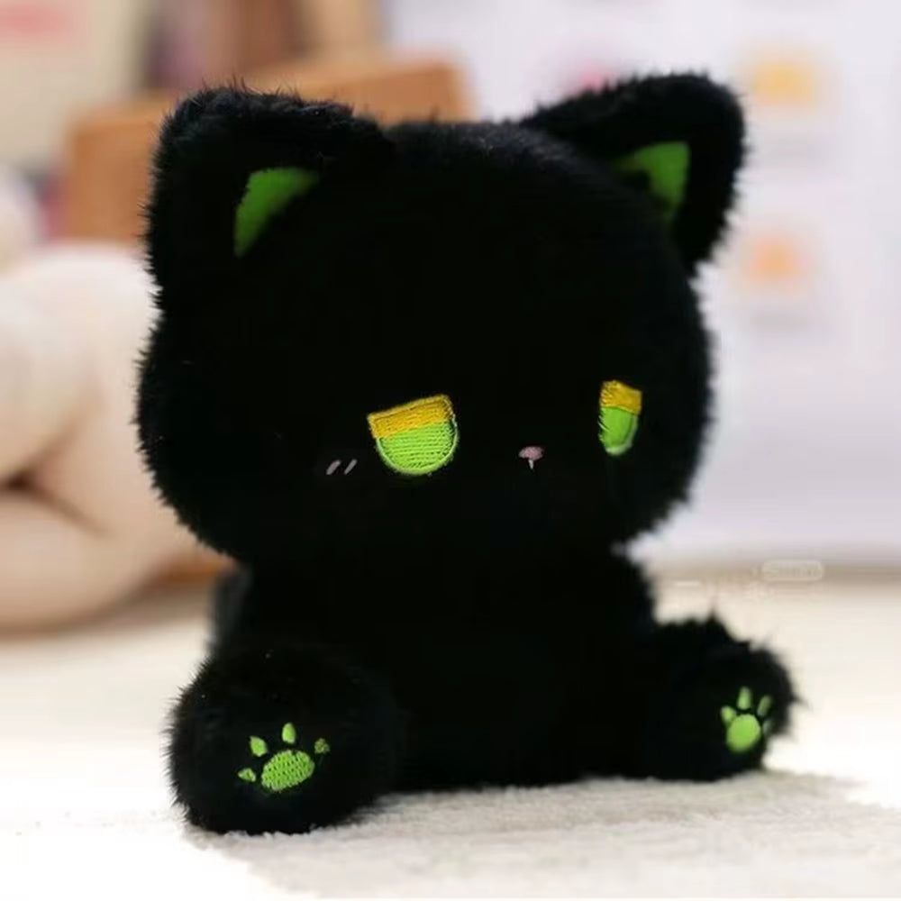 Pomp the Black Cat